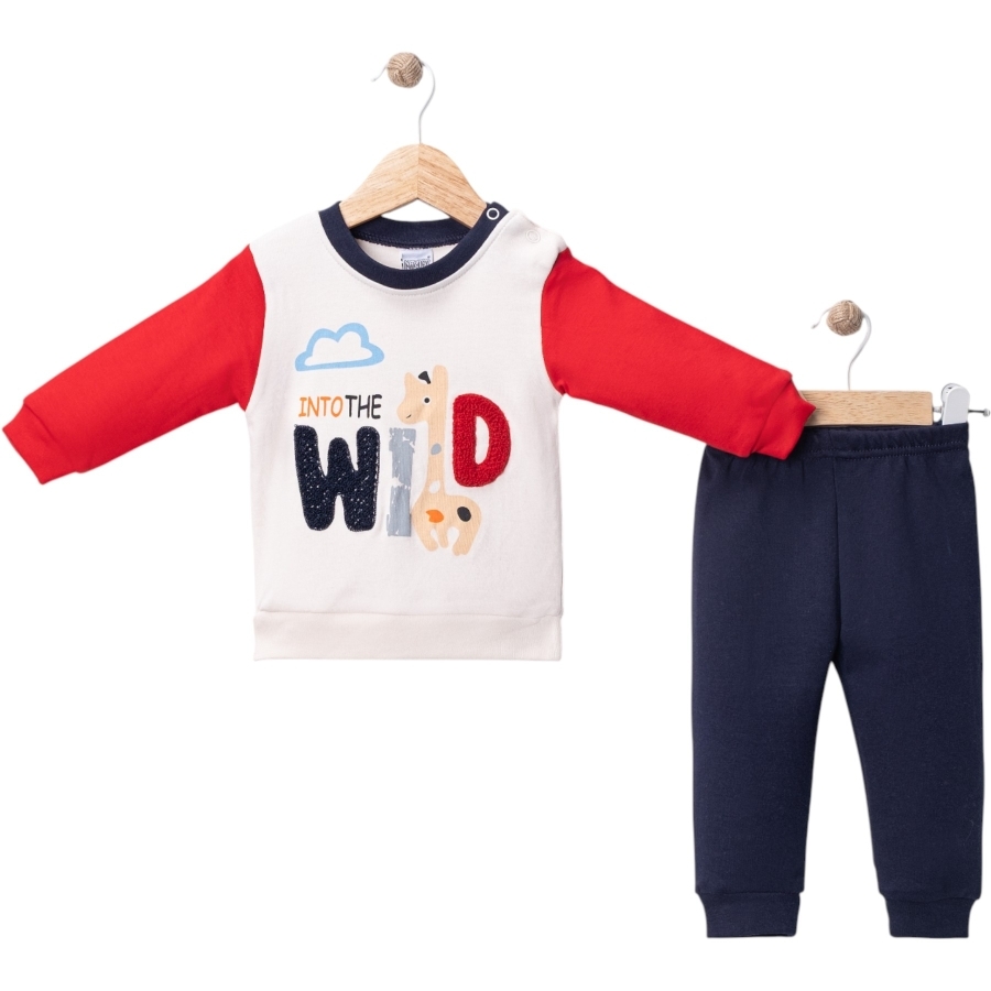 ERKEK BEBEK WILD NAKIŞLI PAKETTE TAKIM 9/18 AY