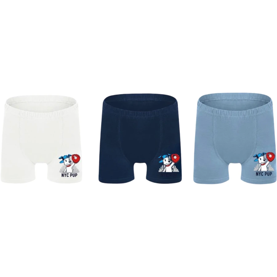 ERKEK ÇOCUK BASKILI BOXER 2Y,3Y Erkek