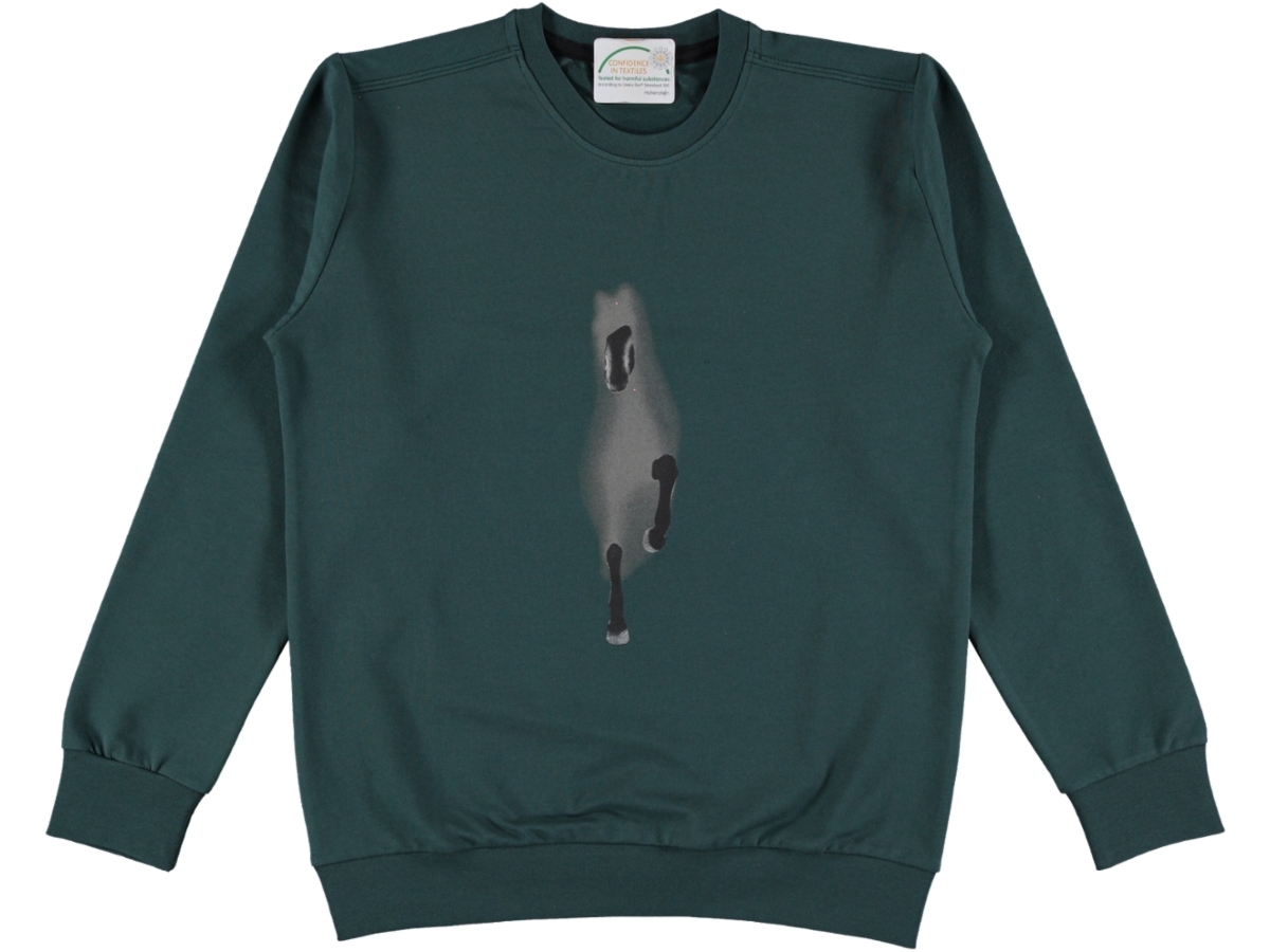 ERKEK ÇOCUK SWEAT 13/16YAŞ
