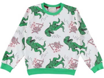 DİNAZOR BASKILI ERKEK SWEAT 8/12 YAŞ