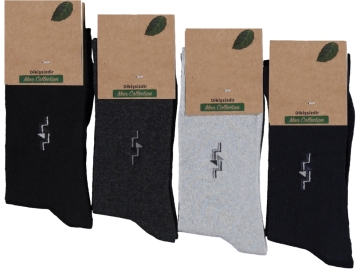 Model-2