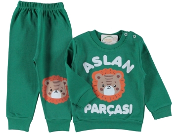 ERKEK BEBEK ASLAN PARÇASI BASKILI PAKETTE TAKIM 9/18 AY