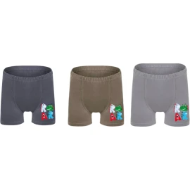 ERKEK ÇOCUK BASKILI BOXER 10Y,11Y Erkek