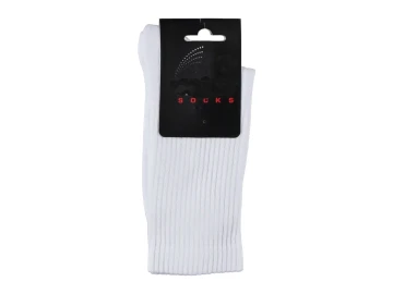 Model-2